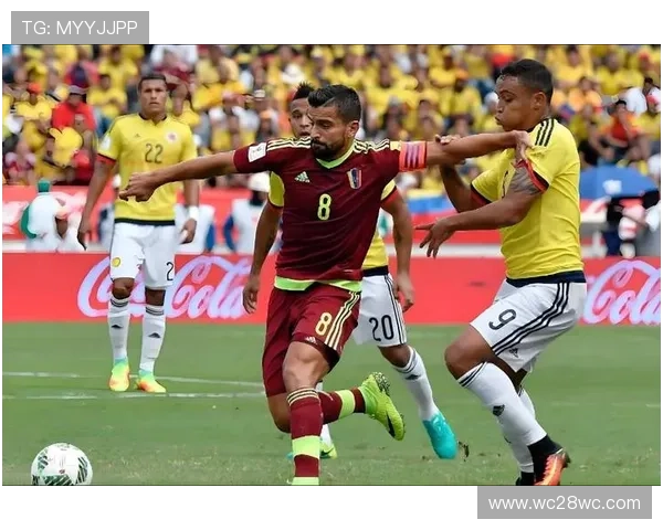 玻利维亚对阵阿根廷精彩赛事直播视频全程回放